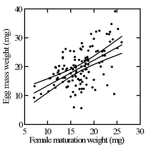 Relationship between female maturation weight and egg mass weight