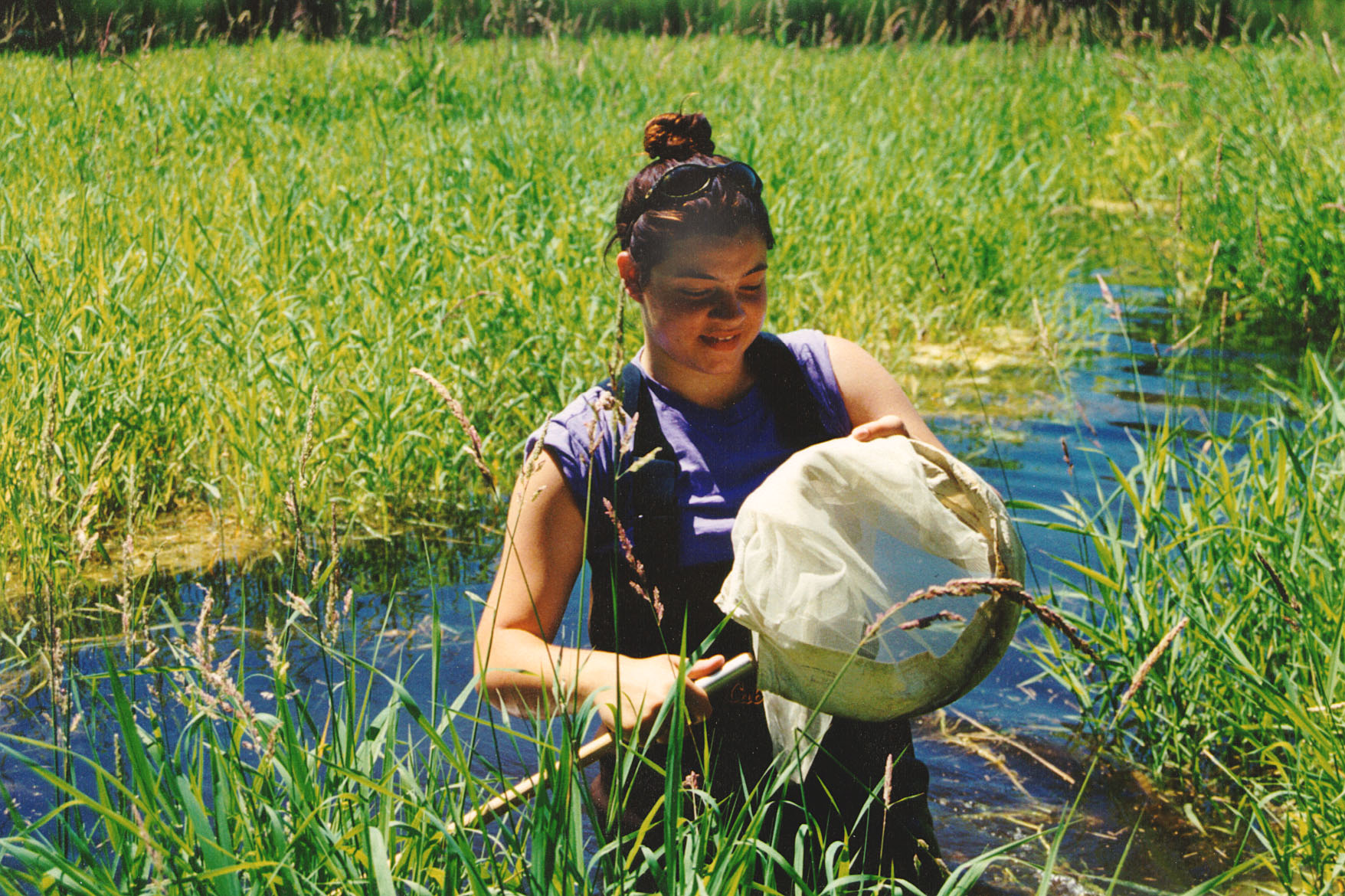 Student working in the same marsh habitat